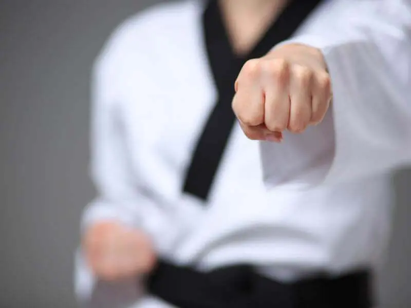 Adult Karate Video Placeholder, STRIKING 101 - FOREST HILLS
