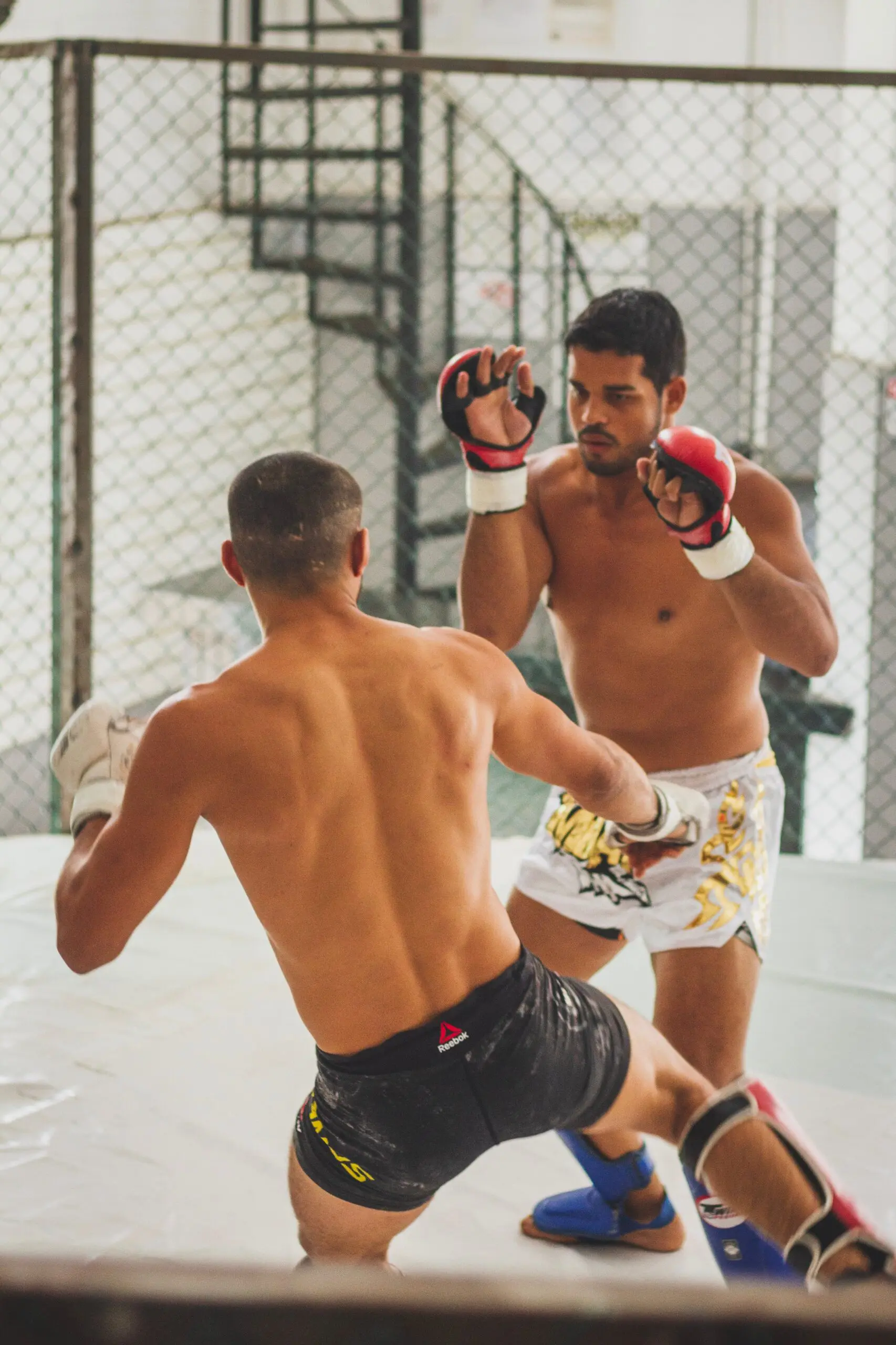 Kickboxers tend to burn fat, lower their body fat percentage, and improve overall physical activity levels while building upper body strength and developing self-defense skills.
