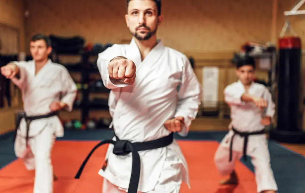 adult Self-Defense classes in Brewster